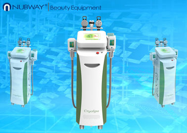 Cryolipolysis الدهون تجميد آلة التخسيس / الدهون تجميد السيلوليت الحد من آلة التخسيس